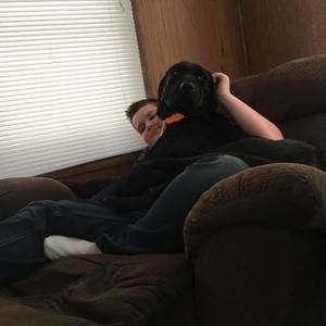 Meet your Posher, Hunter